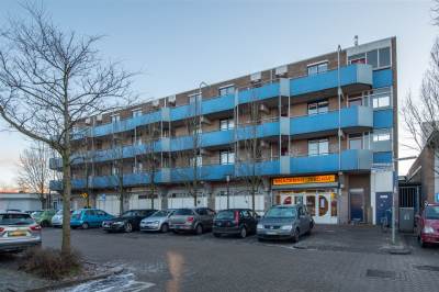Woning Korenbloem 100 Zwaag