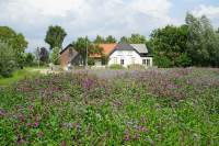 Woning Spilbergen 6 Ommeren