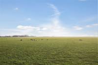 Woning Dijksweg 6 Houwerzijl