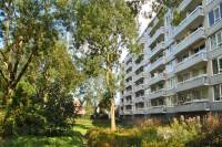 Woning Everaertstraat 333 Rotterdam