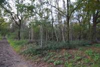 Woning Staartsestraat 0 HUIJBERGEN