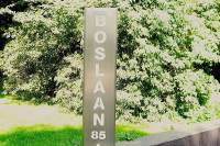 Woning Boslaan 341 Den Haag