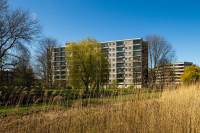 Woning Amerbos 376 Amsterdam