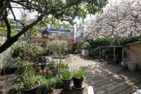 Woning Mient 270 Den Haag