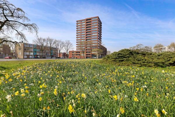 Woning Koning Davidstraat 75 Zaandam