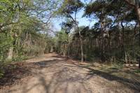 Woning Limburghof 32 Helmond