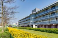 Woning Leeuwstraat 180 Dordrecht