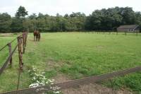 Woning Krachtighuizerweg 37A PUTTEN