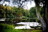 Bouwgrond Moergestelseweg 58 Oisterwijk