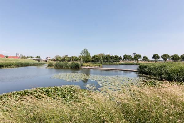 Woning Marga Klompéstraat 43 Spijkenisse