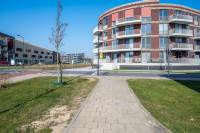 Woning Het Hout 16 Houten
