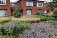 Woning Hof van Scheveningen 42 Den Haag