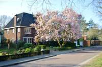 Woning Bosscheweg 23 Berkel-Enschot