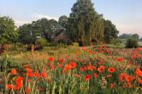 Woning Smidstraat 3 GAANDEREN