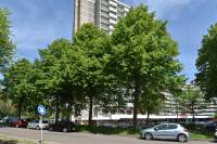 Woning Forellendaal 192 Den Haag