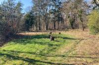 Bouwgrond Graafsebaan 162 Rosmalen