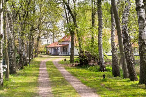 Woning Papenvoortsesteeg 1 Rijkevoort-De Walsert