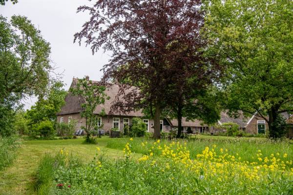 Woning Den Hool 8 Holsloot
