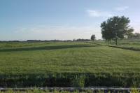 Bouwgrond Oude Bovendijk 287B Rotterdam