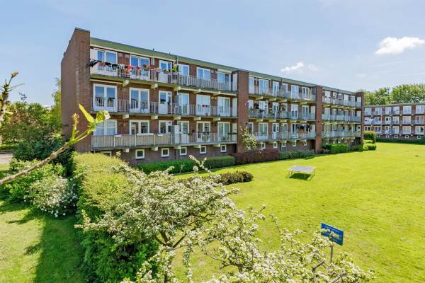 Woning Van Collemstraat 36II Haarlem