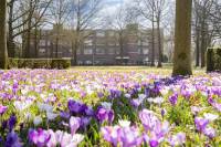 Woning Sibeliuspark 773 Oss