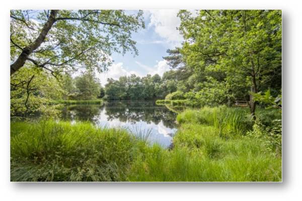 Woning Amerika H 29 EEN