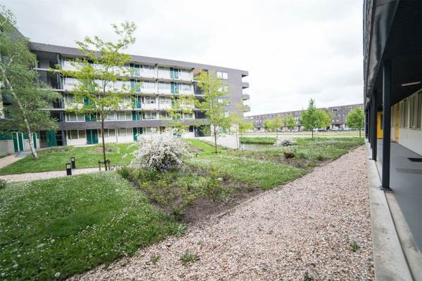 Woning Ladogameerhof 3 Amsterdam