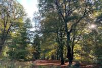 Bouwgrond Hessenweg 98 Lunteren