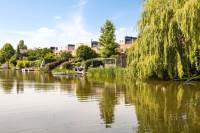 Woning Schout van Hekerenstraat 20 Den Bosch
