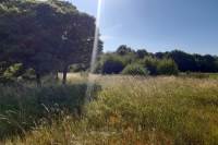 Woning Zandstraat 6 Kelpen-Oler