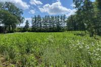 Woning Sevenumseweg 35 VENLO