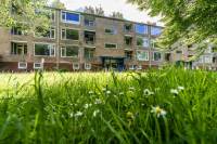 Woning Dierenriemstraat 67 Groningen