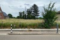 Woning Burg Thomas Wackersstraat 51C en D ROERMOND