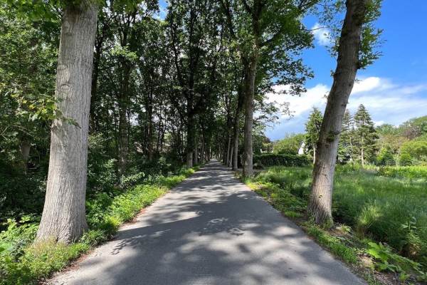 Bouwgrond Wilhelminalaan 5 Oisterwijk