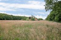 Woning Dorlangenweg 1 Darp