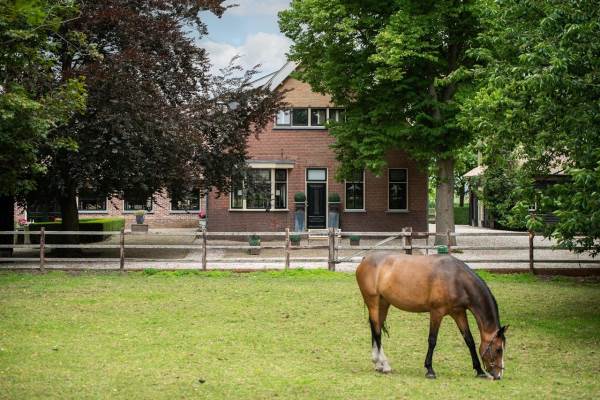 Woning Woudweg 2 Schiedam