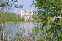 Woning Utrechtseweg 145 - 16 Arnhem