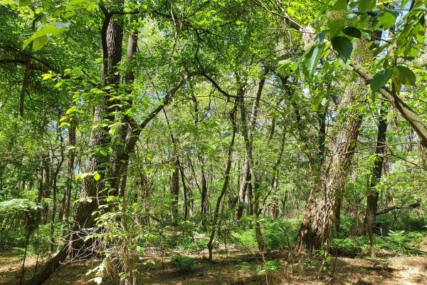 Woning Weg Naar de Groene Dries 1 PUTTE