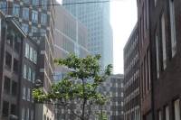 Woning Calliopestraat 67 Den Haag