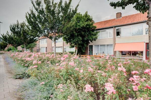 Woning Pijlkruidstraat 7 Arnhem