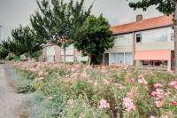 Woning Pijlkruidstraat 7 Arnhem