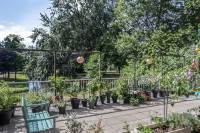 Woning Sibeliusplein 29 Schiedam