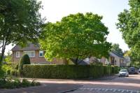 Woning Van Hogendorplaan 29 Huizen