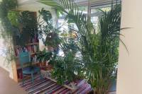 Woning Beukenhorst 88 Driebergen-Rijsenburg