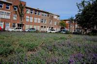 Woning Loenenseplein 6 Den Haag