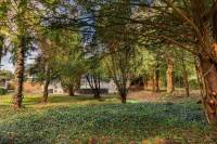 Bouwgrond Natteweg Kavel 2 BERGEN NH