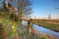 Bouwgrond J.J. Allanstraat 226NR Westzaan