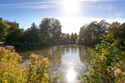 Woning Laan van Blois 49 Beverwijk