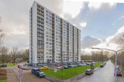 Woning Van Leeuwenhoekstraat 53 Haarlem