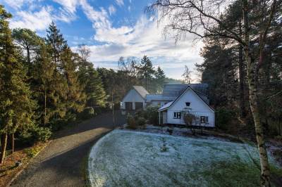 Woning Dennenlaan 24 Ossendrecht